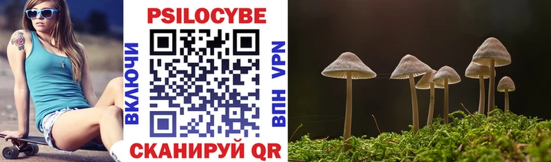 Псилоцибиновые грибы прущие грибы  ОМГ ОМГ ТОР  Никольск 